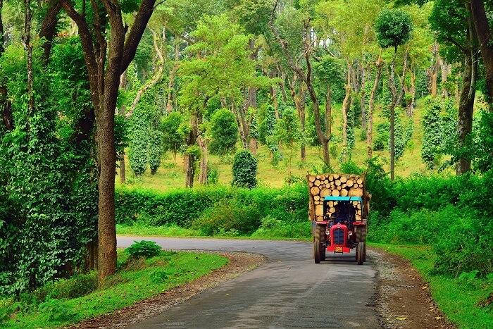 Coorg-Karnataka