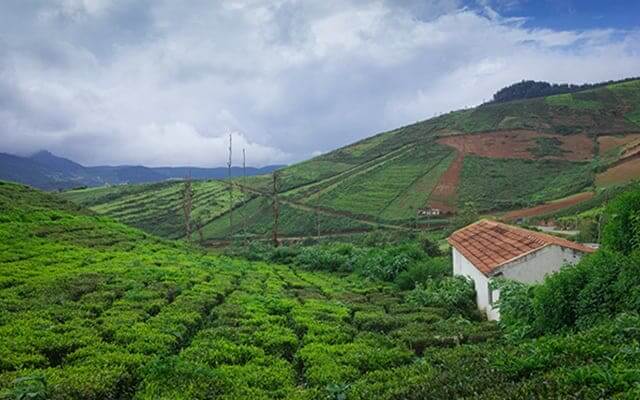 Coorg in Karnataka