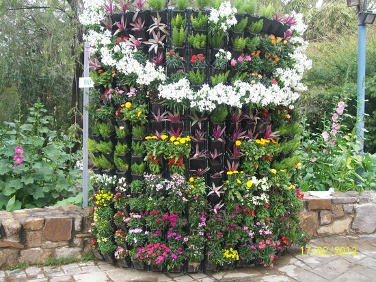 Hanging pots in the garden