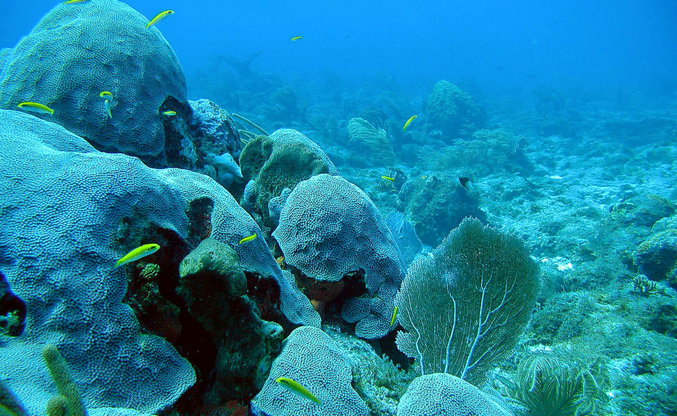 Jolly Buoy Island