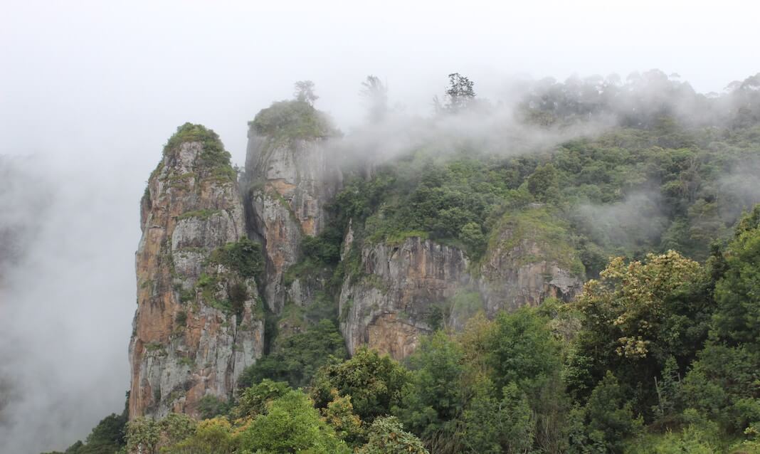 Kodaikanal is a prominent hill station located in Tamil Nadu, India. It is in the Dindigul district of Tamil Nadu. 