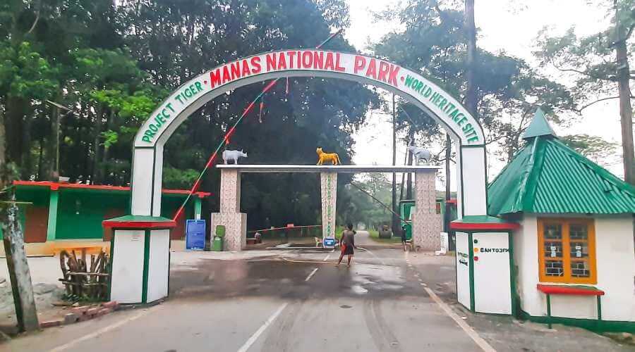 Manas National park is a located in Assam. It is a UNESCO Natural  World Heritage Site, A tiger and elephant reserve and a biosphere reserve. 