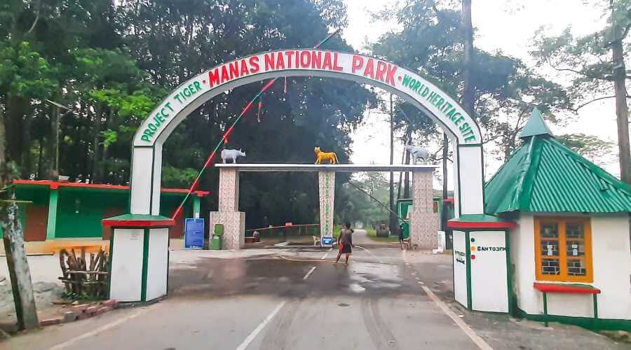 Manas national park