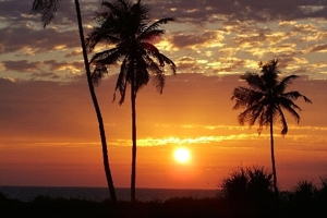 Morjim Beach Goa