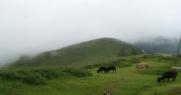 Mullayanagiri Peak