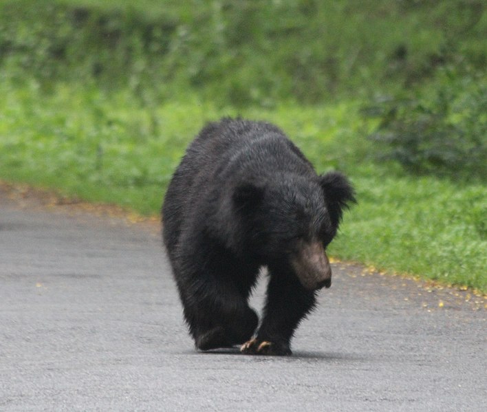 Nagarhole National Park