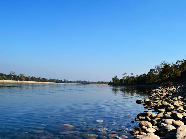 Jia Bhoroli and Bor Dikorai rivers in the park