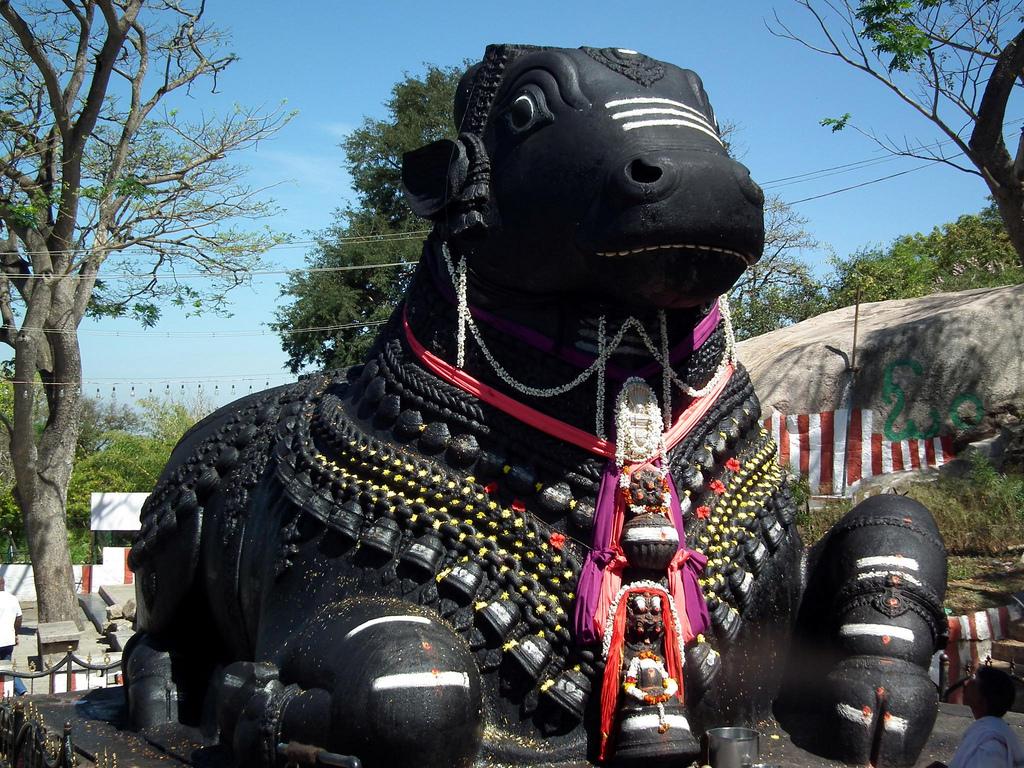 Nandi