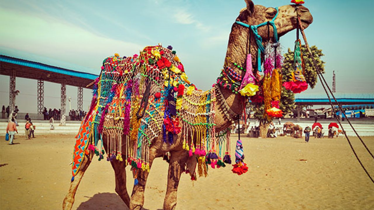 Pushkar Fair