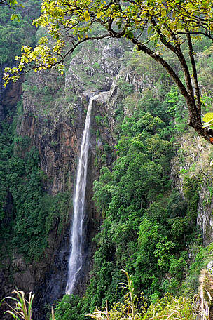 waterfall at the park