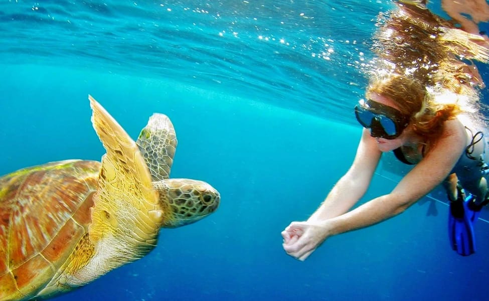 Snorkelling in Andaman