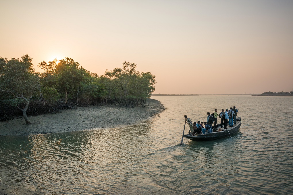 Boat safari in the park