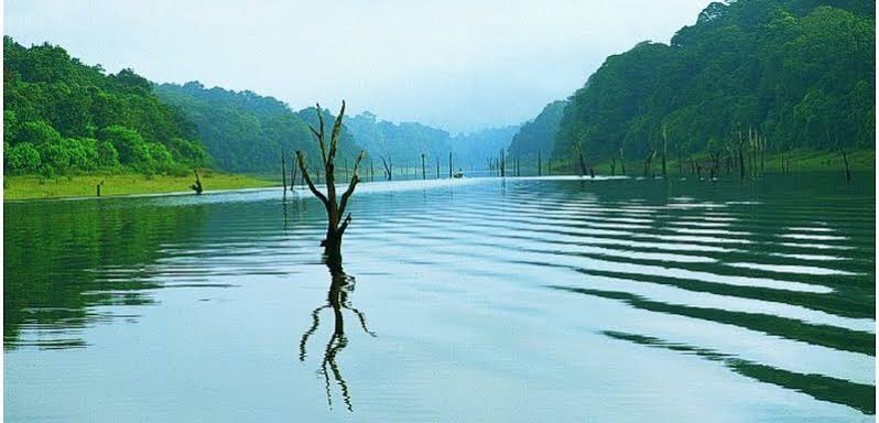 Thekkady in Kerala